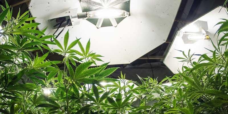 customized insurance