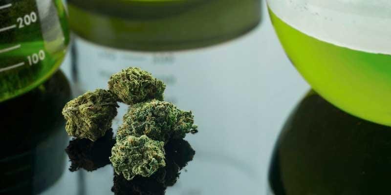 laboratory insurance