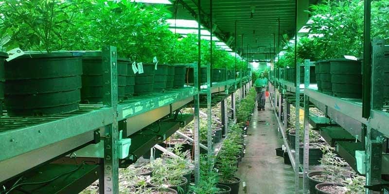 manufacturing insurance